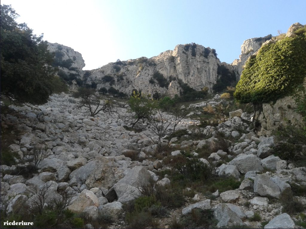 Tartera 1024x768