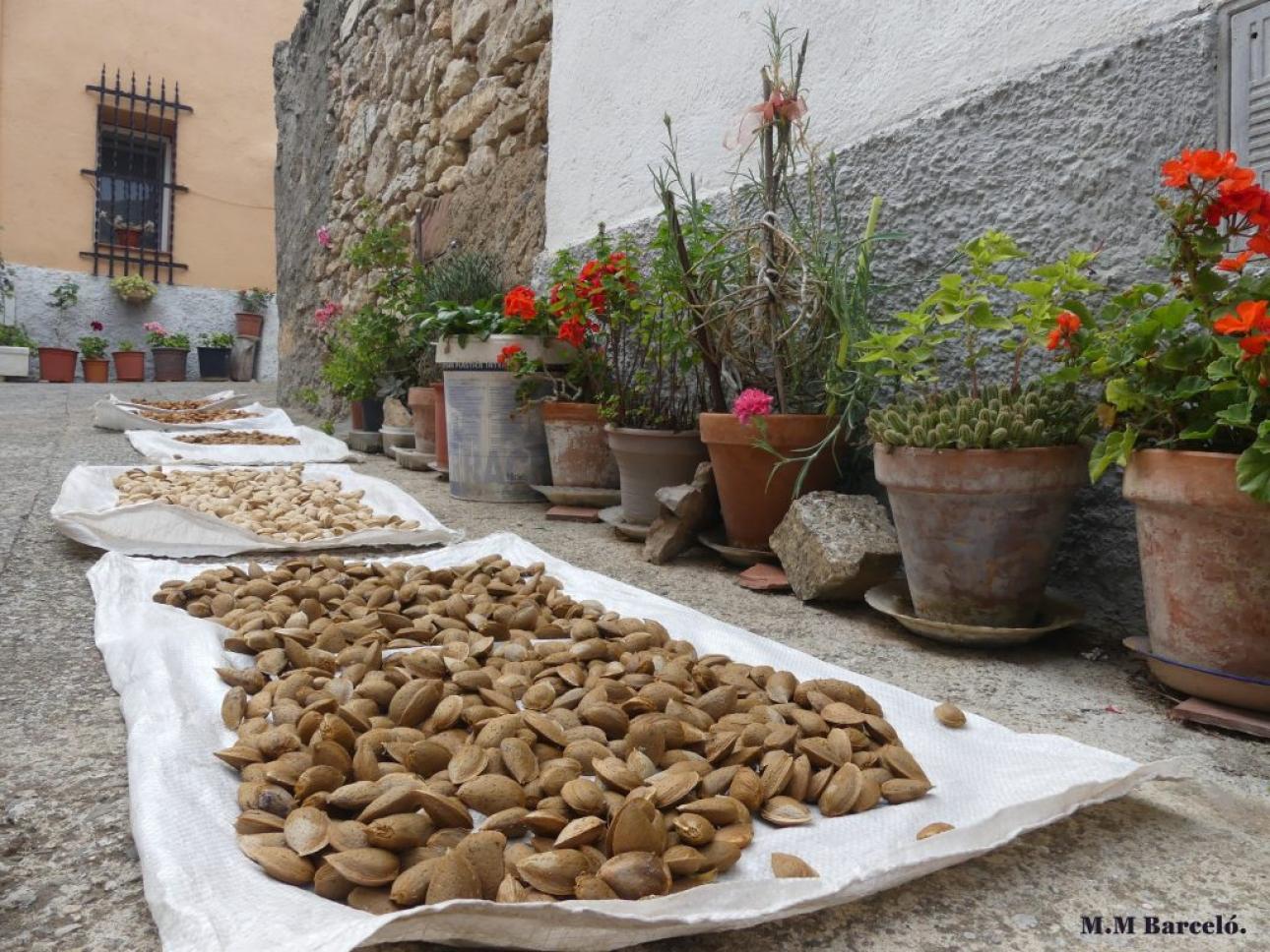 Visita Colldejou